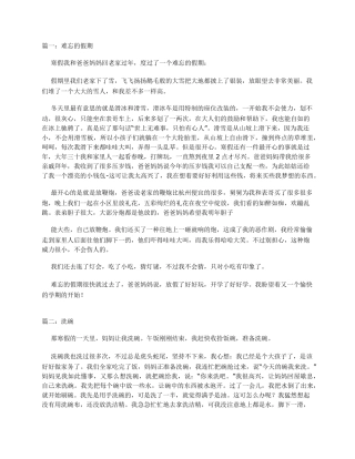 寒假日记600字大全