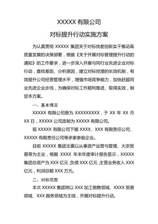 对标提升行动实施方案(可套)