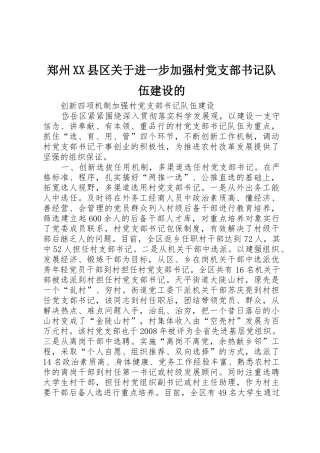 郑州XX县区关于进一步加强村党支部书记队伍建设的