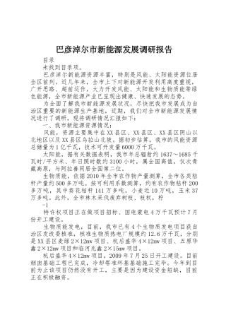 巴彦淖尔市新能源发展调研报告