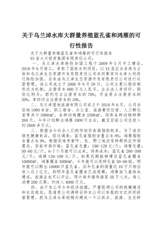 关于乌兰淖水库大群量养殖蓝孔雀和鸿雁的可行性报告