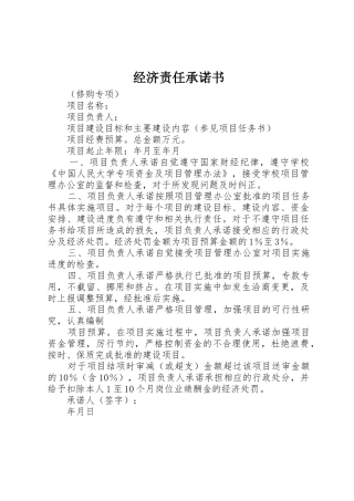 经济责任承诺书