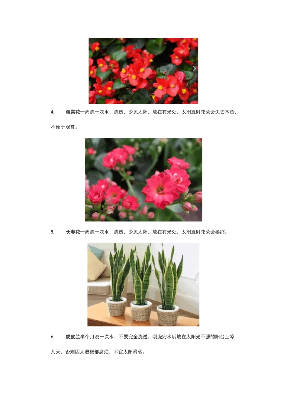 50种常见花卉养护方法_第2页