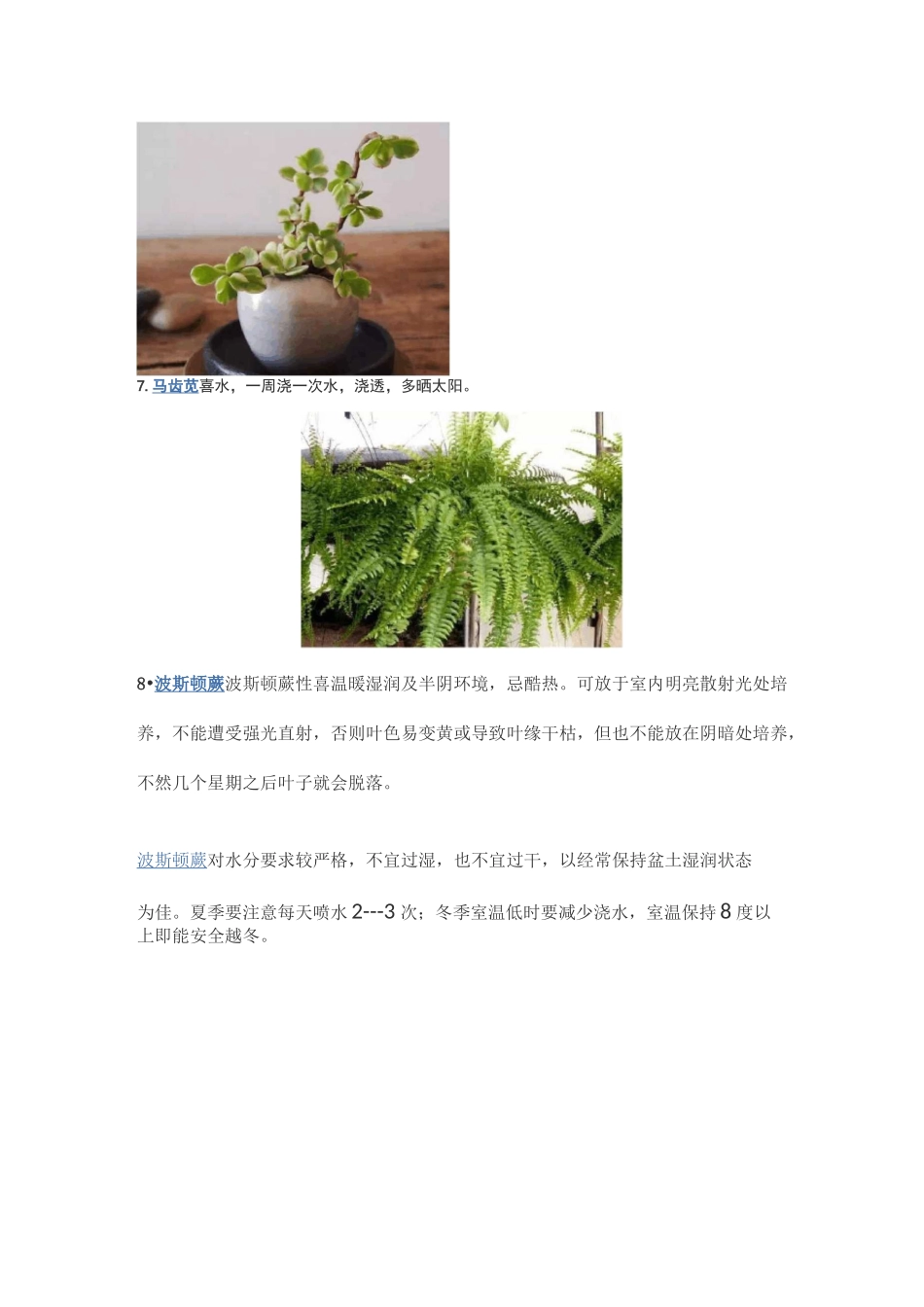 50种常见花卉养护方法_第3页