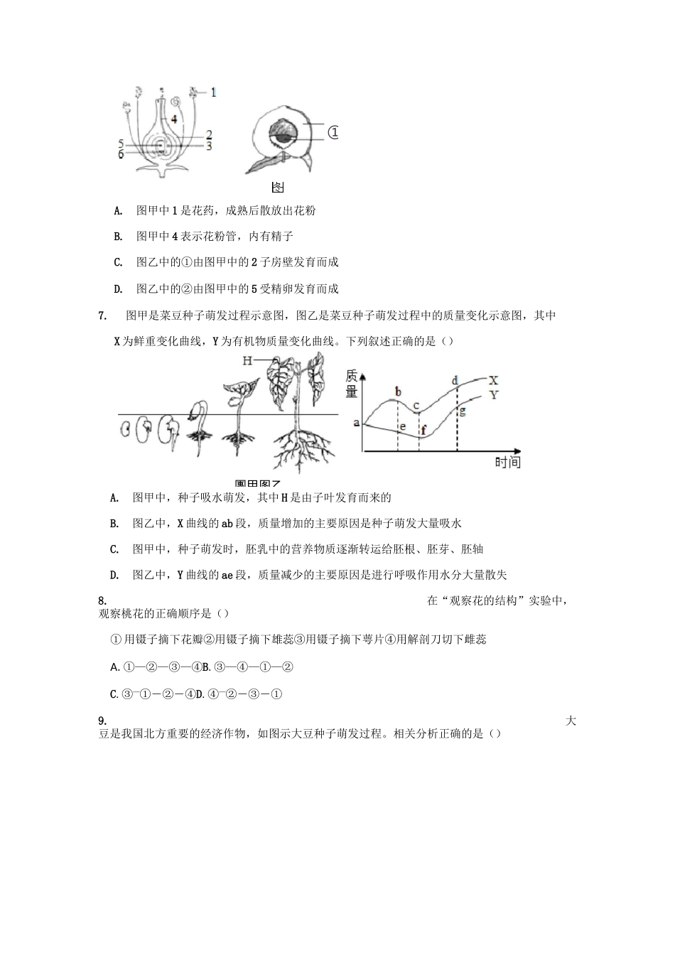 济南版生物八年级上册 第一章 绿色开花植物的一生  检测题(含答案)_第2页