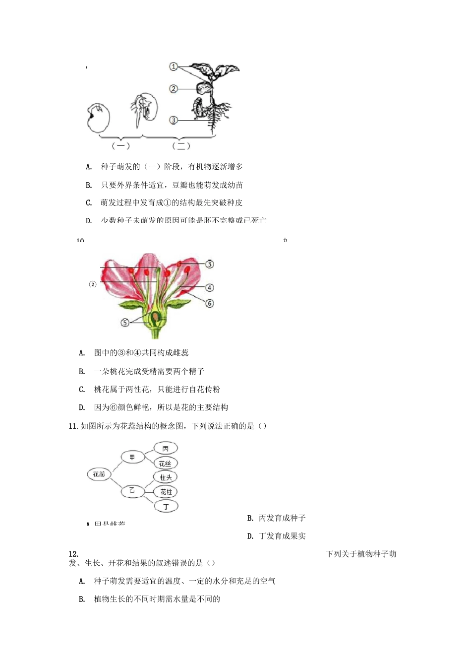 济南版生物八年级上册 第一章 绿色开花植物的一生  检测题(含答案)_第3页