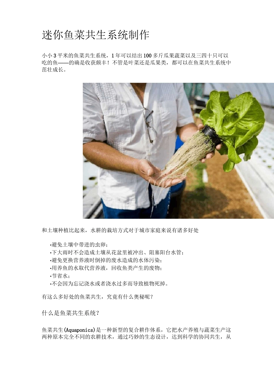 迷你鱼菜共生系统制作_第1页