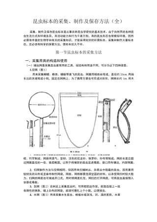 昆虫标本采集制作及保存方法(最全)