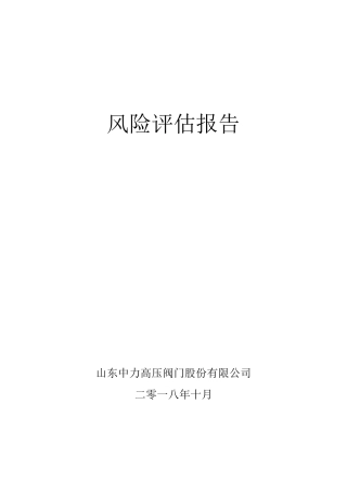 企业风险评估报告