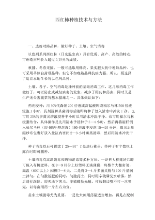 西红柿种植技术与方法