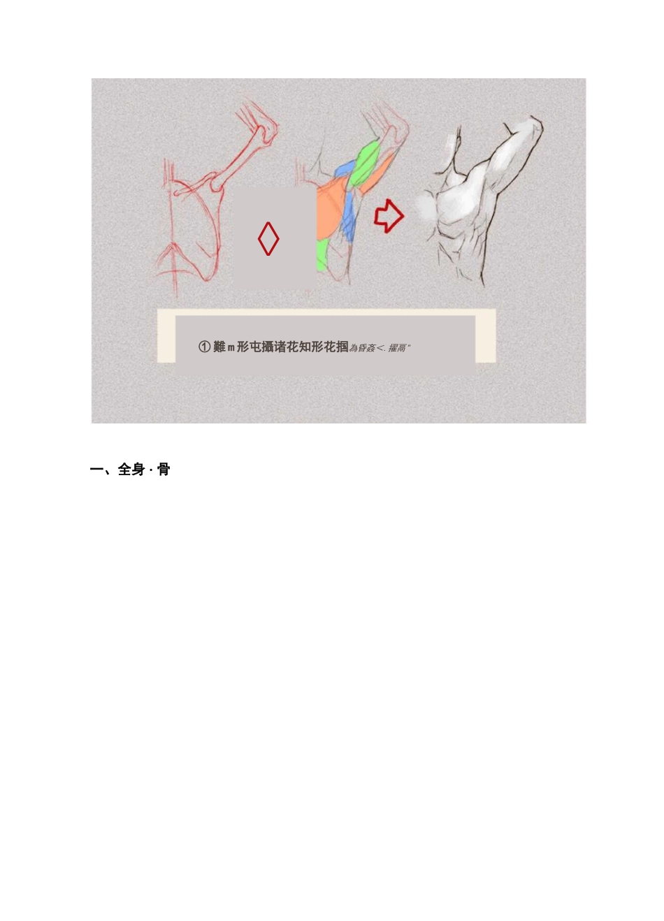 如何正确掌握绘画人体结构？(上篇)_第2页