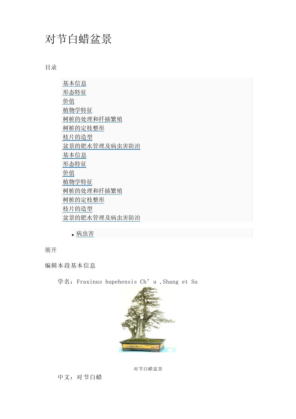 对节白蜡盆景_第1页