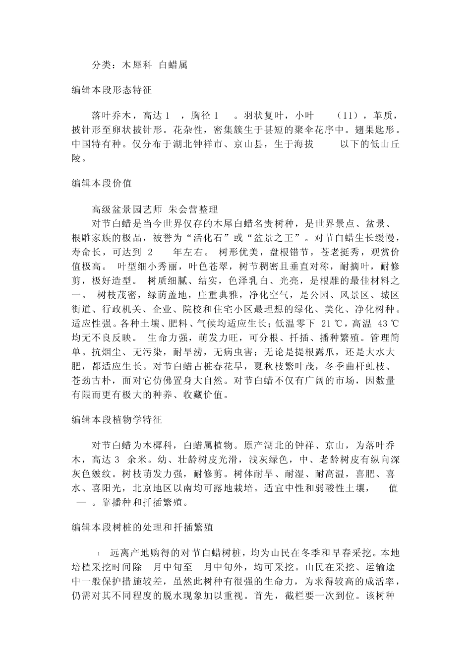 对节白蜡盆景_第2页