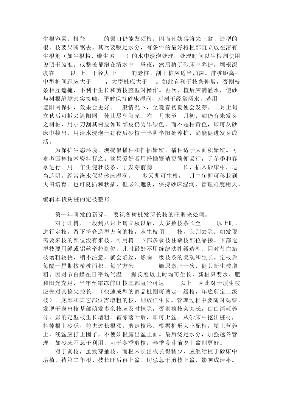 对节白蜡盆景_第3页