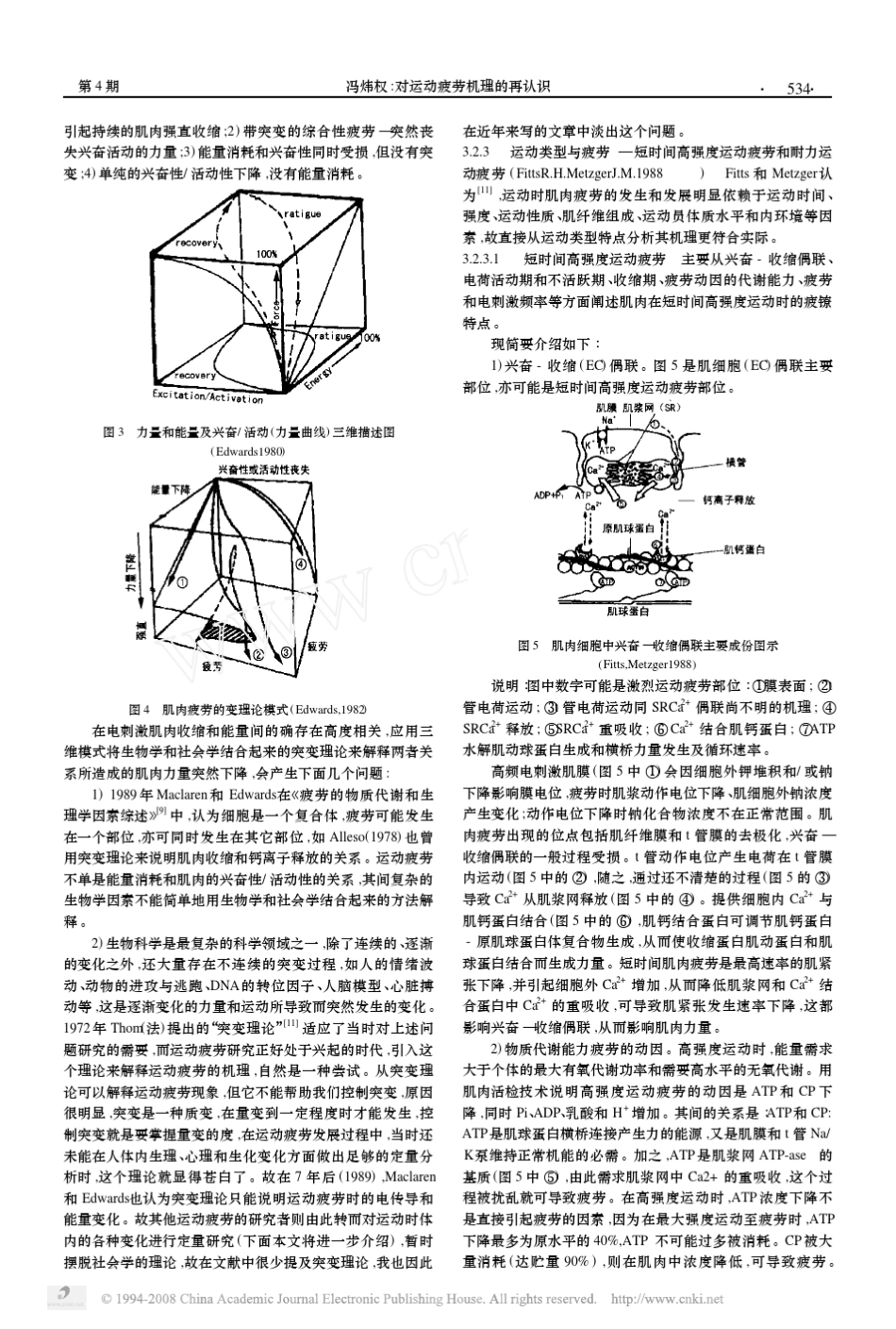 对运动疲劳机理的再认识_第3页