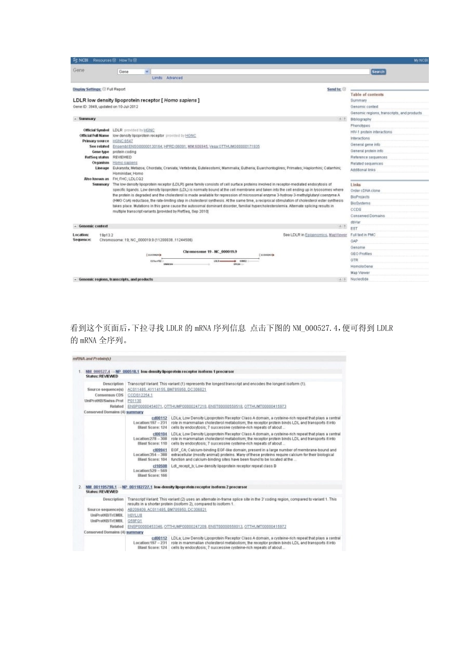 寻找基因的CDS,539;UTR,339;UTR及Promoter区等_第2页