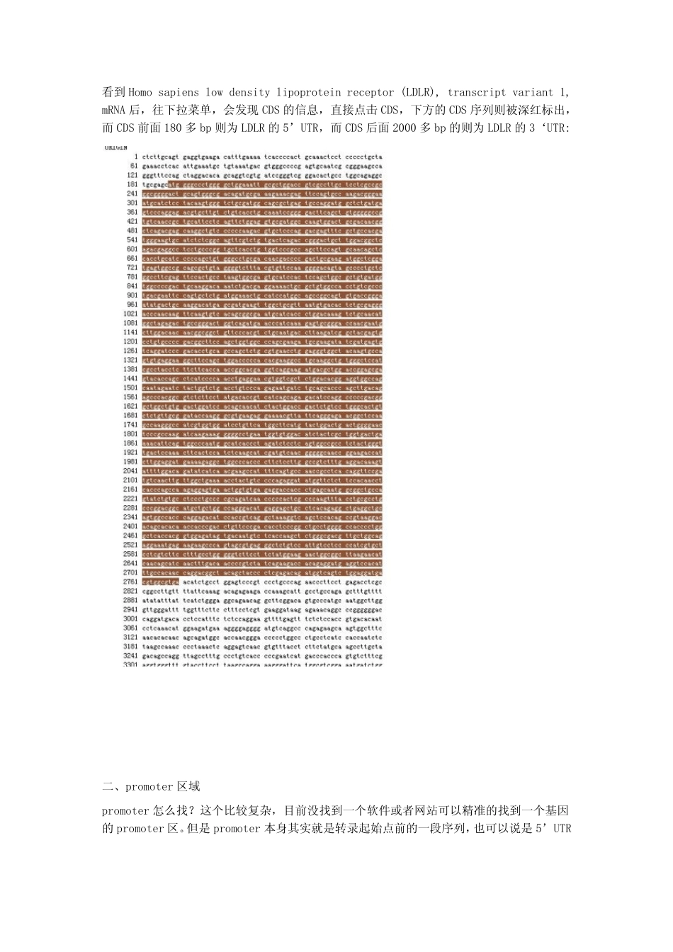 寻找基因的CDS,539;UTR,339;UTR及Promoter区等_第3页