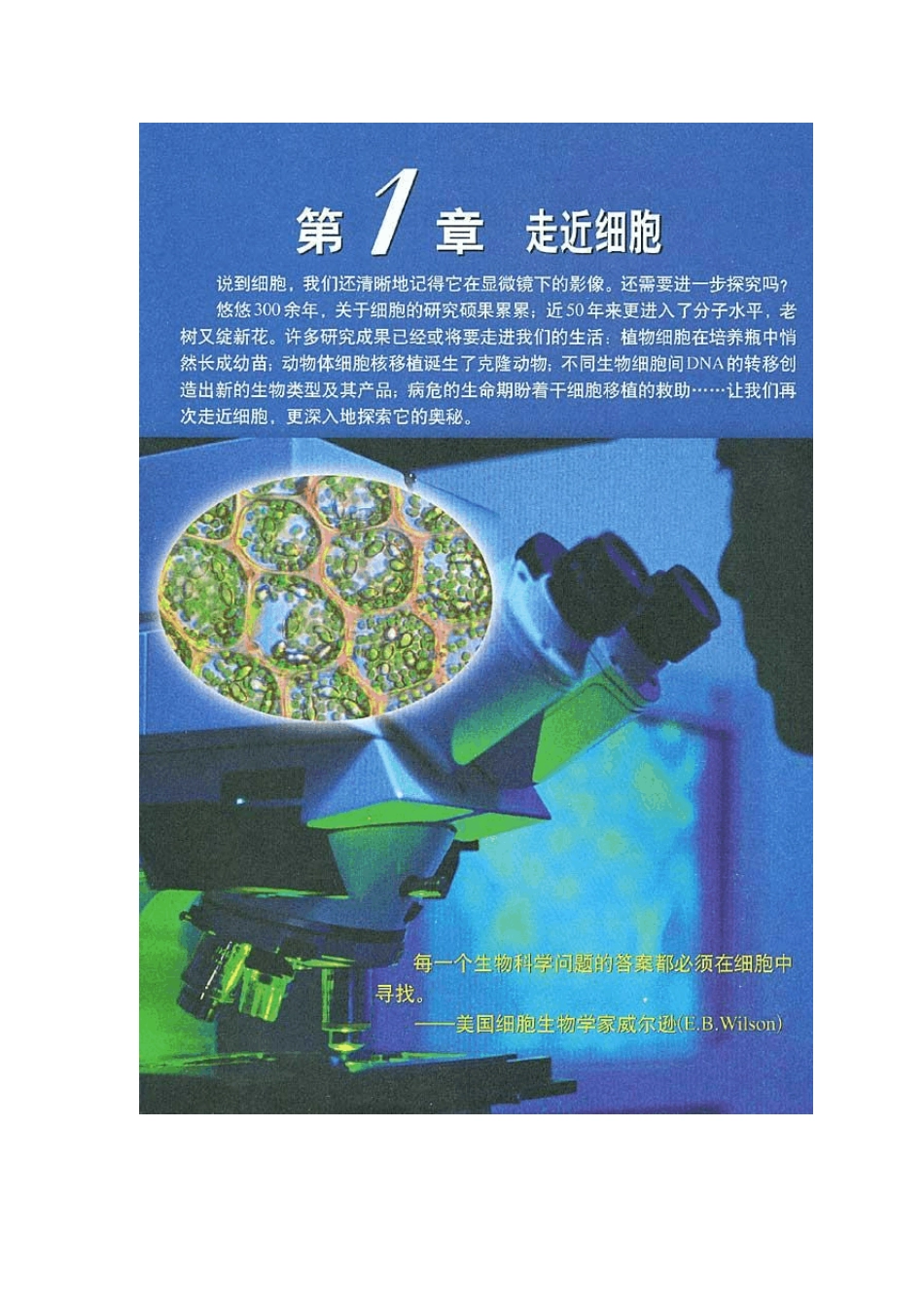 导入技能训练：微格教学教案书写_第2页