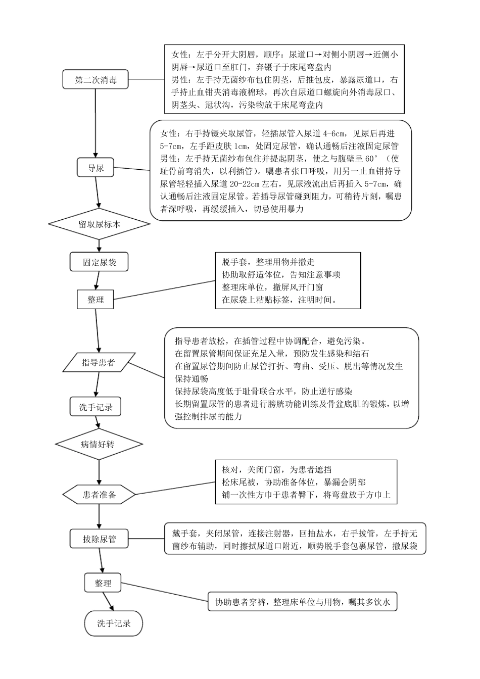 导尿技术流程_第2页