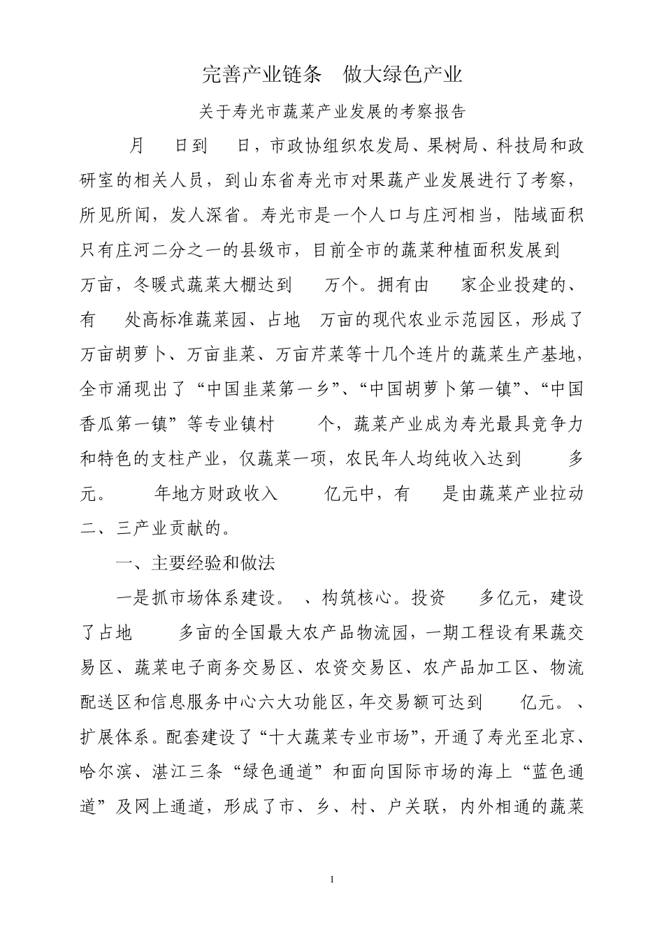 寿光考察报告_第1页