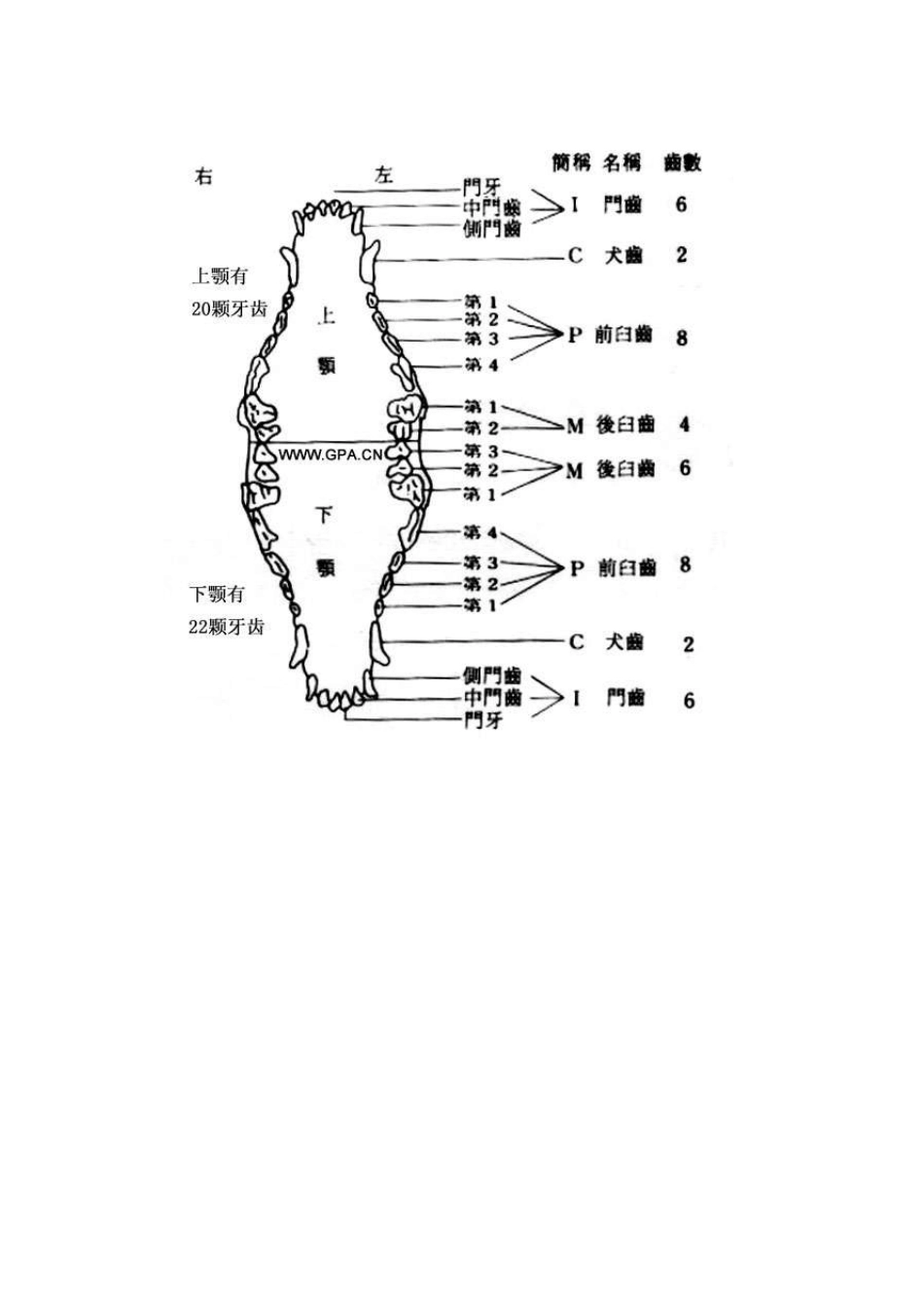 将西班牙语译成中文(简体)_第3页