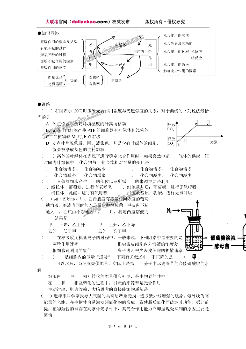 小专题综合复习教学案光合作用、呼吸作用与碳循环和能量流动专题_第3页