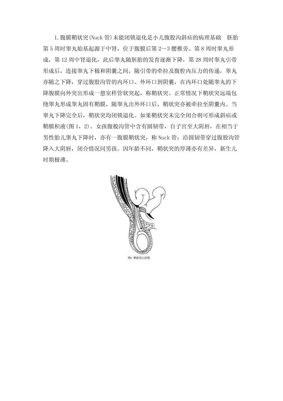 小儿腹股沟斜疝_第2页