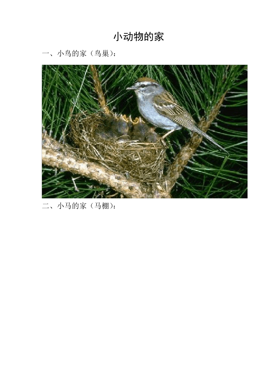 小动物的家组图_第1页