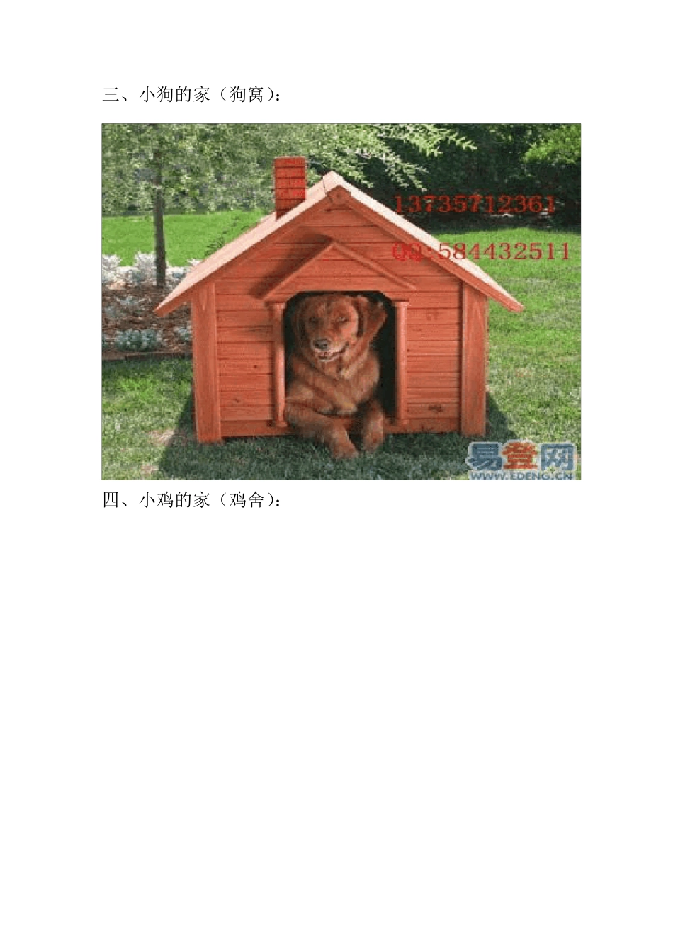 小动物的家组图_第2页