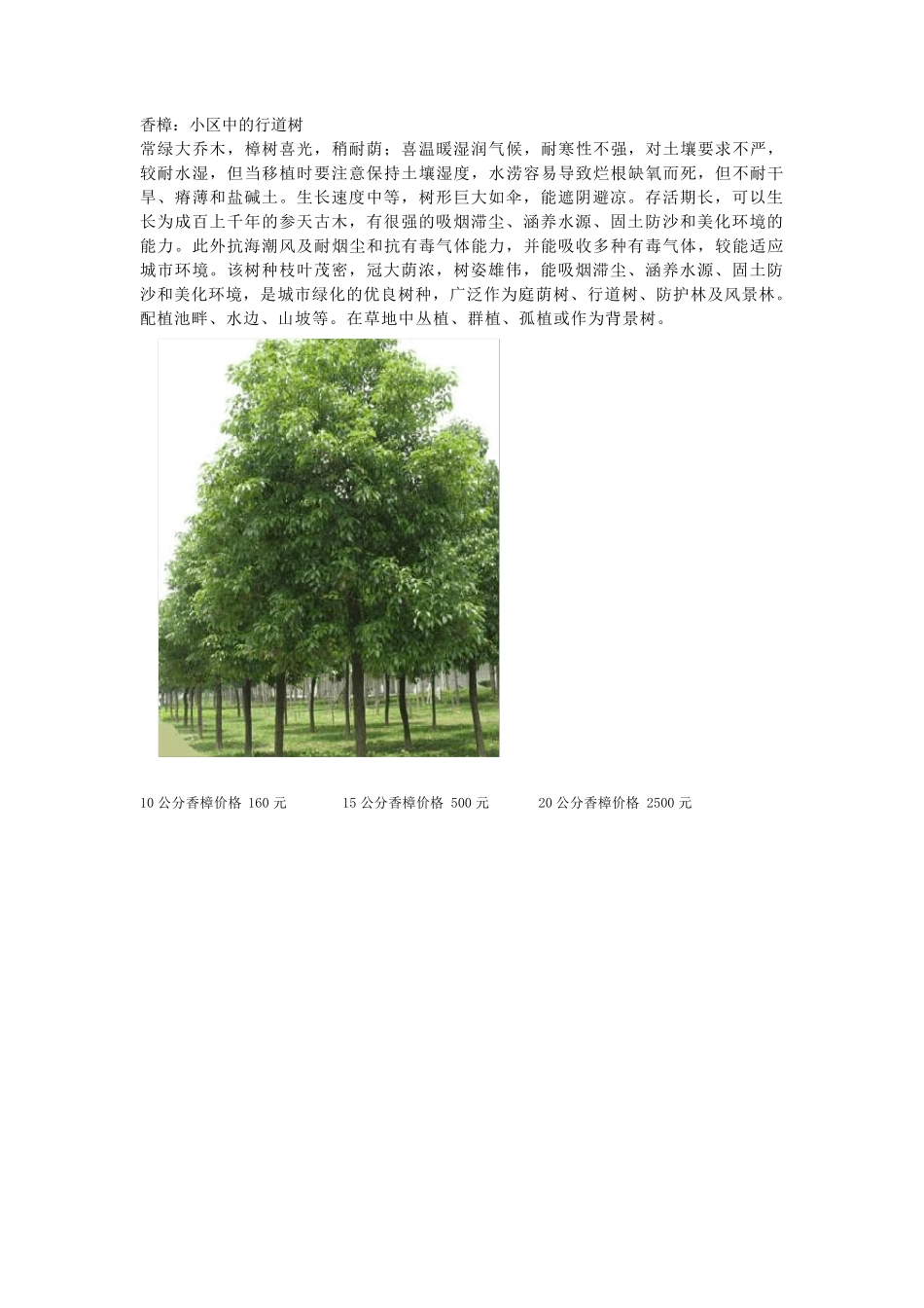 小区植物配置_第2页