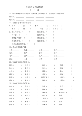 小升初专项训练一词语