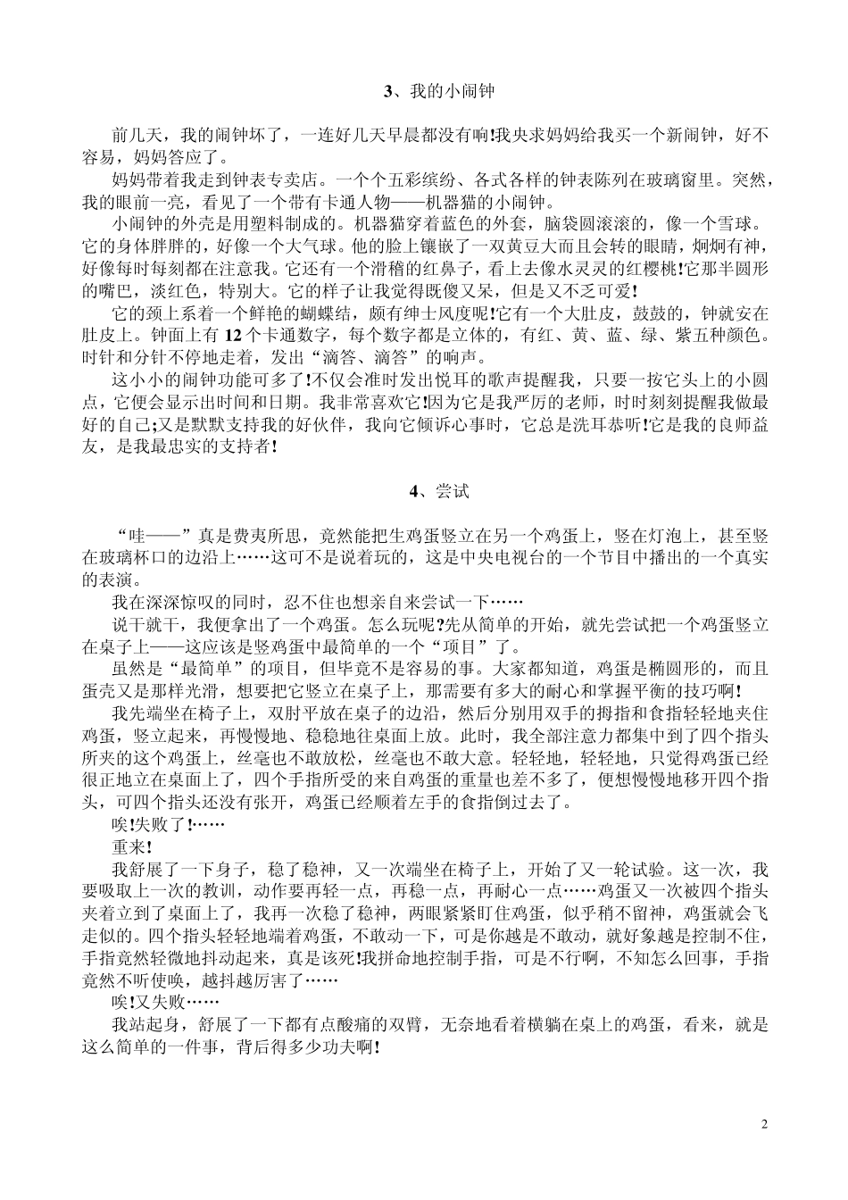 小升初优秀作文_第2页