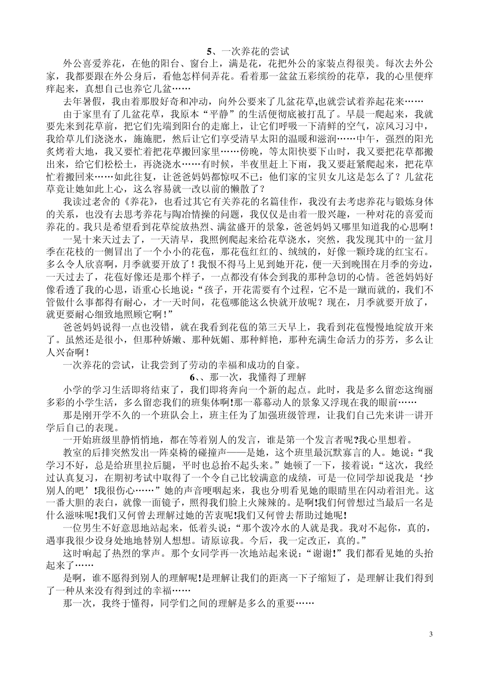 小升初优秀作文_第3页