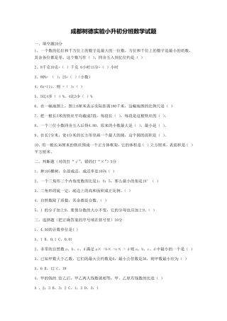 小升初分班数学试题