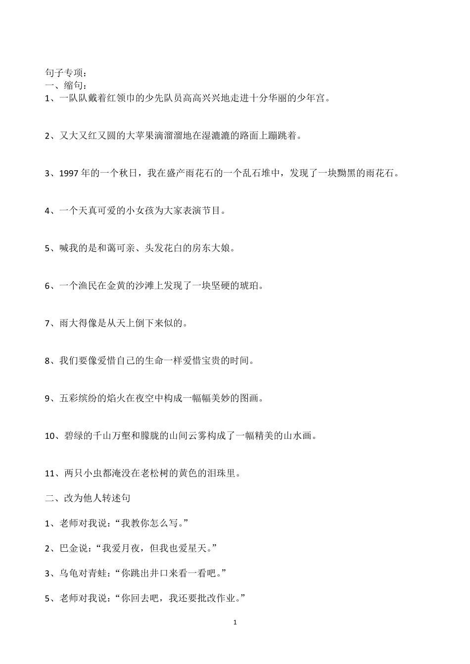 小升初句子专项练习_第1页