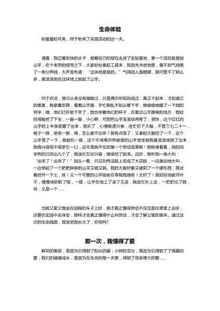 小升初满分作文(10篇)