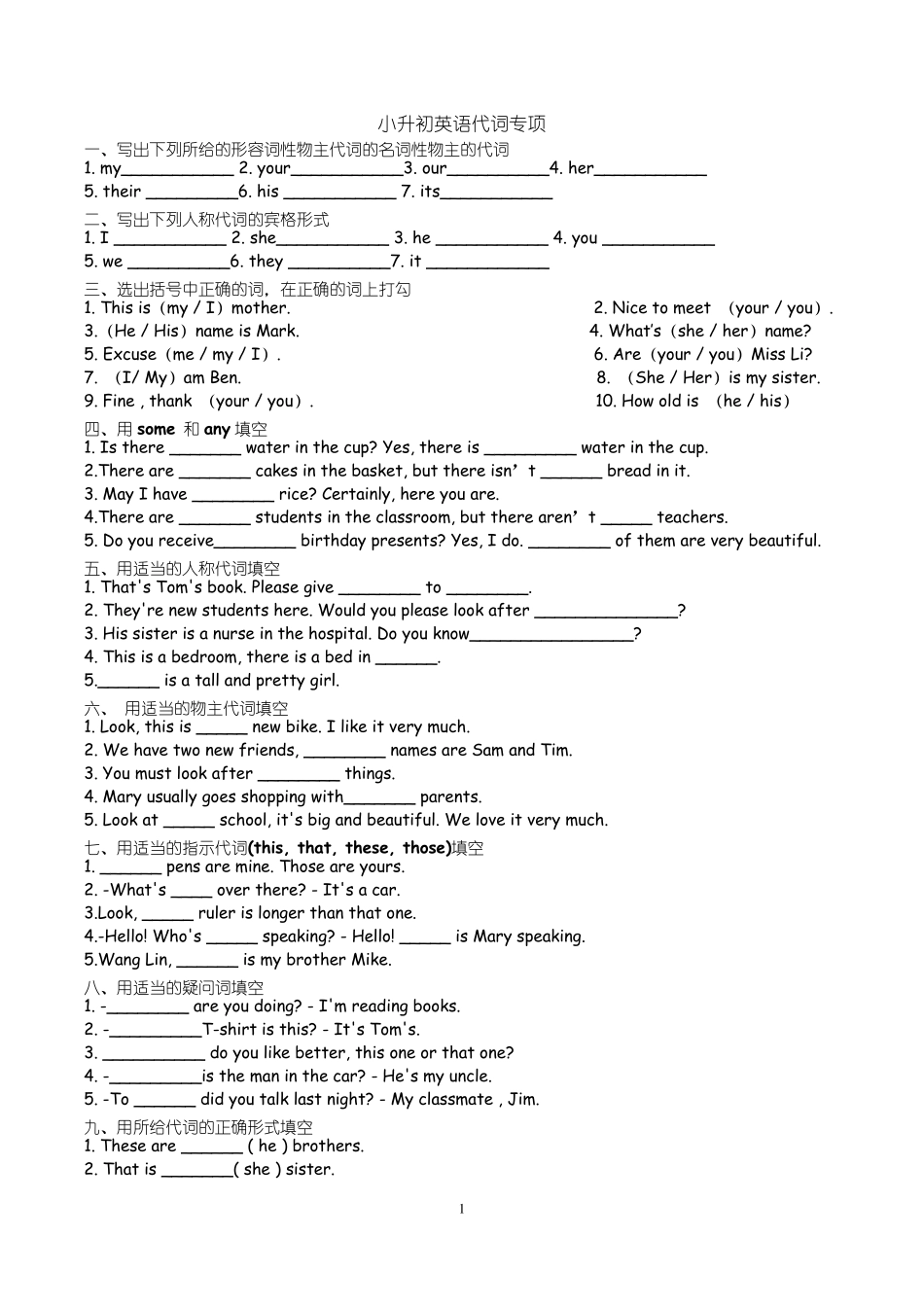 小升初英语代词专项试题_第1页