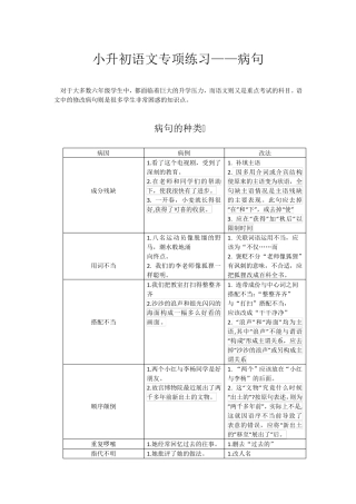 小升初语文专项练习——修改病句