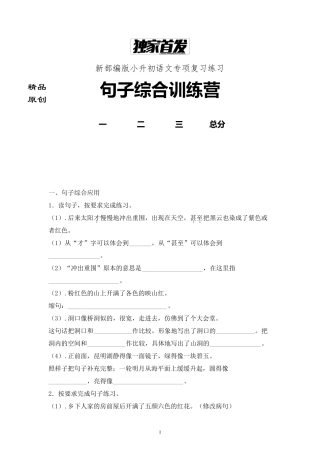 小升初语文句子综合训练专项练习含答案