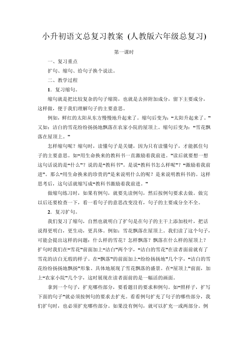 小升初语文总复习教案_第1页