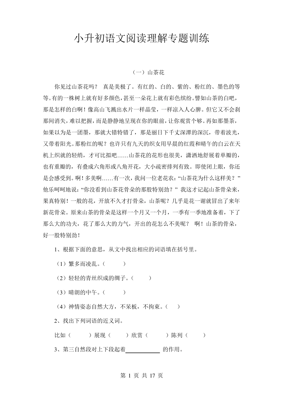 小升初语文阅读理解专题训练_第1页