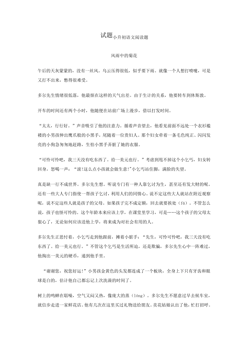 小升初语文阅读理解题型及试题_第3页