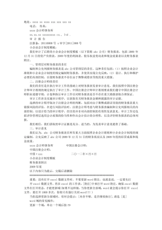 小型企业审计报告