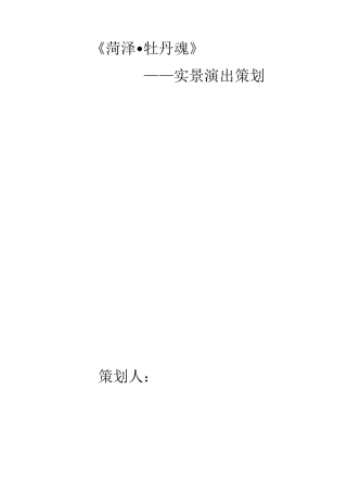 小型实景演出策划案