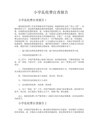 小学乱收费自查报告