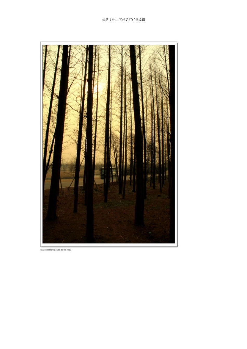 --辰山植物园之矿坑花园_第3页