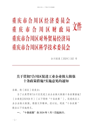102十条政策实施意见电子件doc