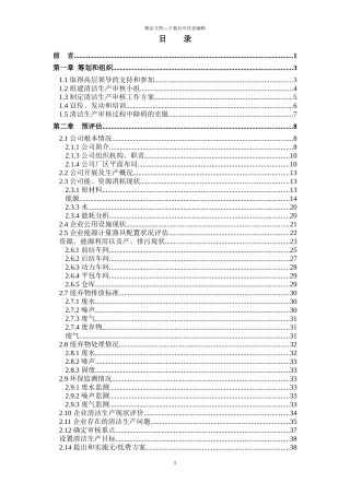 11锦纶清洁生产审核报告