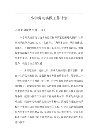 小学劳动实践工作计划