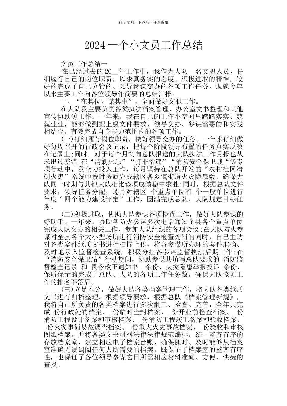 2024一个小文员工作总结_第1页